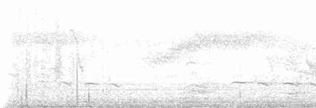 Sonnerat Guguğu - ML614089410