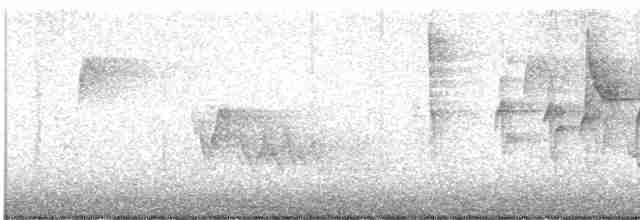 Canada Warbler - ML614092199