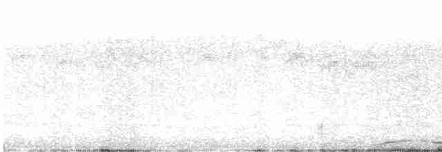 holub neotropický - ML614092203