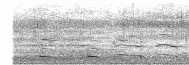 アイスランドカモメ（亜種 カナダカモメ） - ML614094216