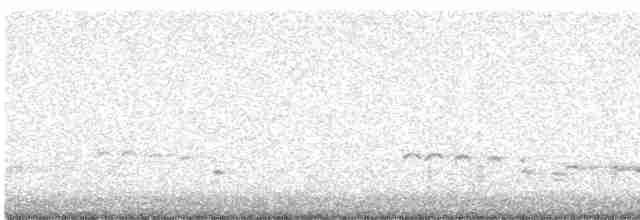 Белоголовый орлан - ML614095599
