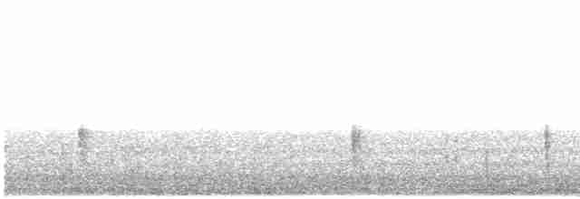 Klappergrasmücke (curruca/blythi/halimodendri) - ML614095957