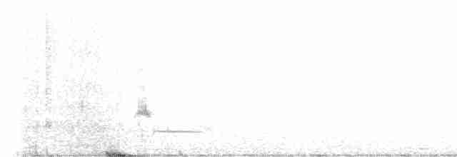 Loggerhead Shrike - ML614096239
