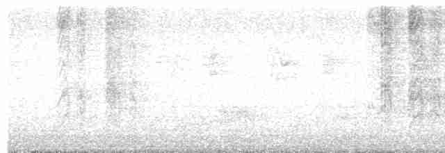 aratinga hnědohrdlý - ML614098111