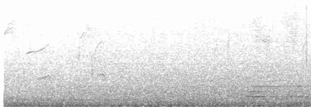 White-cheeked Starling - ML614098446