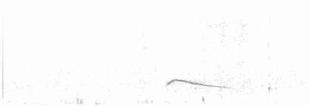 Magellanic Plover - ML614099504