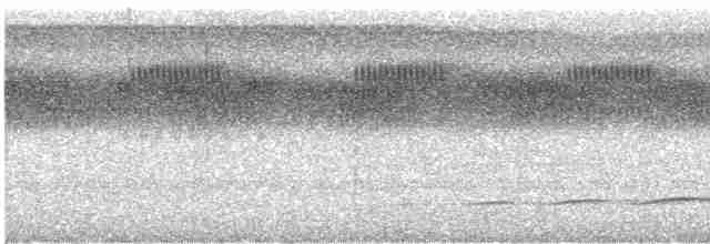Fulvous Antshrike - ML614101054