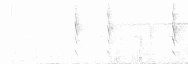 Graurücken-Dickichtschlüpfer - ML614101675
