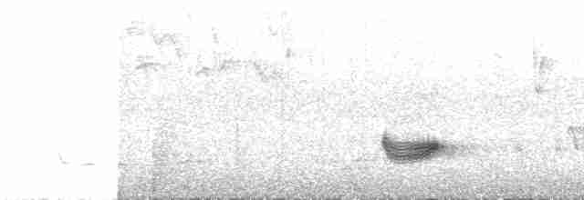 Black-striped Sparrow - ML614106602