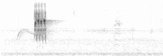 Anabate de Lichtenstein - ML614107314