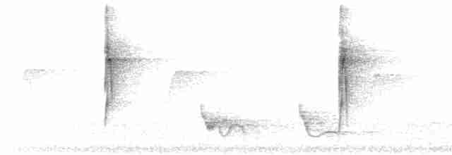 rustbrystløvvender (scansor) - ML614107392