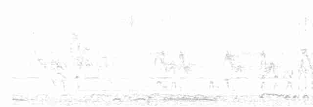 Пароарія жовтодзьоба - ML614109940