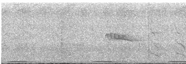 holub pestrokřídlý - ML614118036