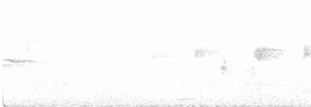 Белогорлая птица-бич - ML614118624