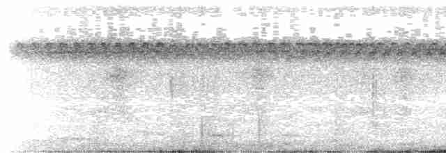 Plush-crested Jay - ML614119354