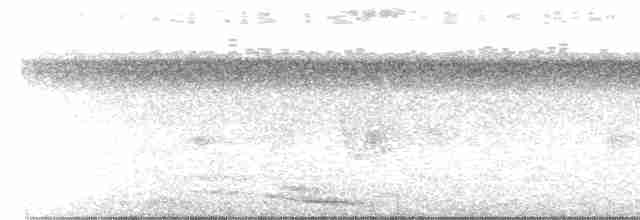 Plush-crested Jay - ML614119355