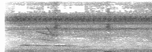 Plush-crested Jay - ML614119356