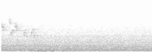 Зяблик звичайний - ML614123574