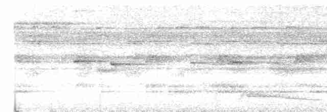 Augennachtschwalbe - ML614123598