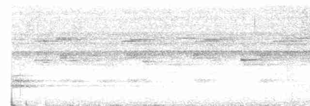 Дереволаз-червонодзьоб бразильський (підвид uniformis) - ML614123858