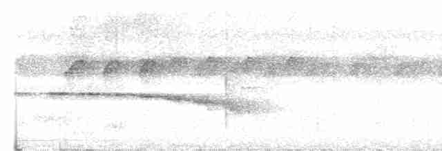 Kuzeyli Kestanerengi Karıncakuşu (pallens) - ML614124330