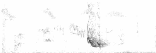 Cichladuse tachetée - ML614126957