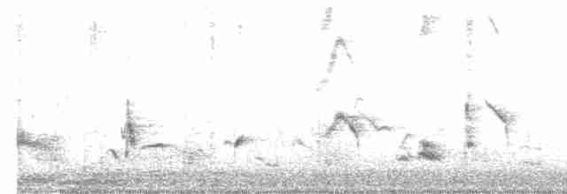 Длинноклювый пересмешник - ML614128103