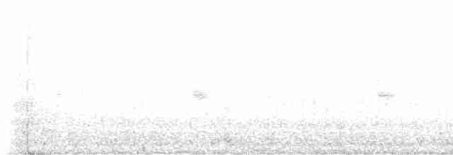 Каньонный крапивник - ML614129444