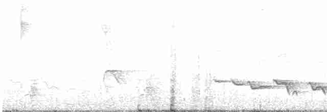 Kara Gagalı Koca Vireo - ML614131080