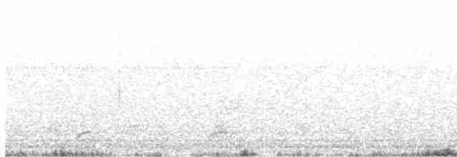 Кустарниковый скрытохвост - ML614131944