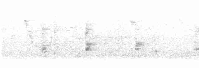Kırmızı Gagalı Saksağan - ML614135254