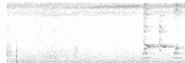 Geai à nuque blanche - ML614135540