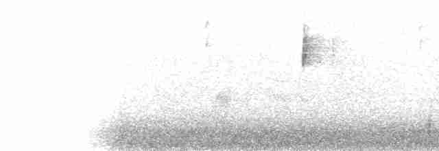 Bruant auréole - ML614137214