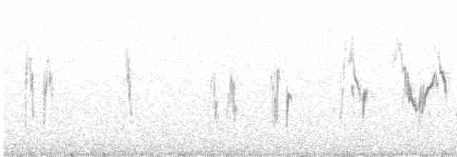 White Wagtail (British) - ML614137484