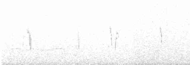 White Wagtail (British) - ML614137487