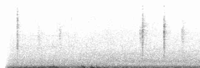 rákosník černobrvý - ML614138165
