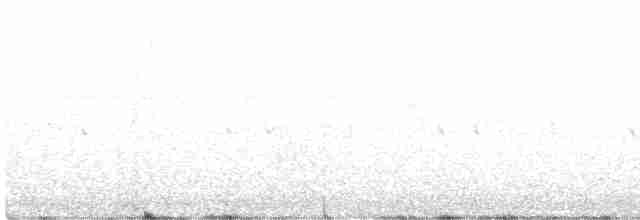 Boynuzlu Keşişkuşu (yorki) - ML614138276