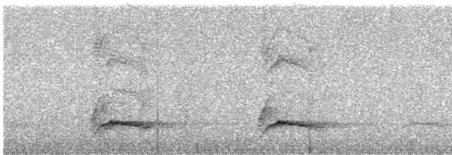 Касик багряногузий (підвид uropygialis) - ML614143581