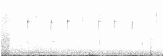 Крапивниковая иглохвостка - ML614144438