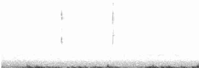 Крапивниковая иглохвостка - ML614144439