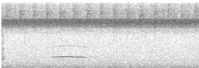 Copetón de Swainson - ML614147945