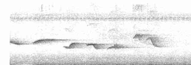 Ошейниковая веерохвостка - ML614148387