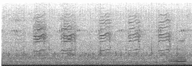 Rufous-tailed Weaver - ML614150571