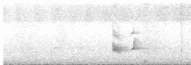 Манакін-стрибун карликовий - ML614151313