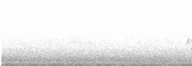 Karolina Çıtkuşu - ML614151457