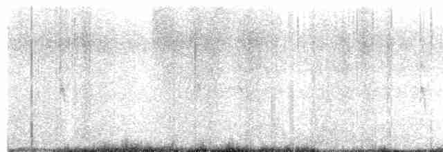 Troglodyte des forêts - ML614153115