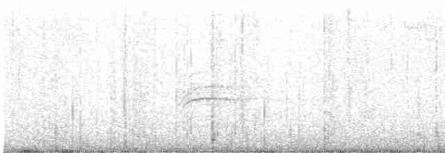 Дрізд-короткодзьоб плямистоволий - ML614154776