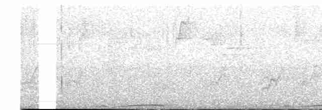 Каштановогрудая земляная горлица - ML614156149