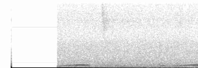holoubek hnědoprsý - ML614156405