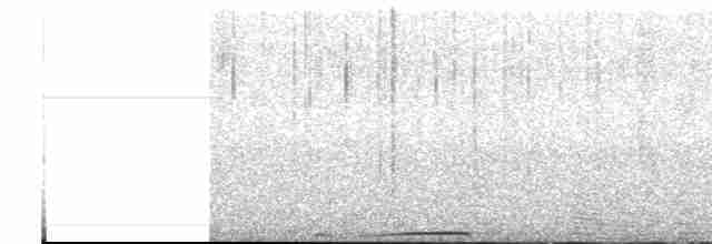 holoubek hnědoprsý - ML614156425